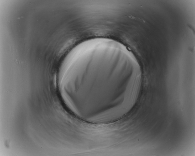 X0000103290019200809122018