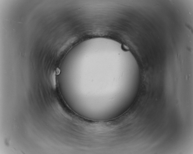 X0000103290020200809122018