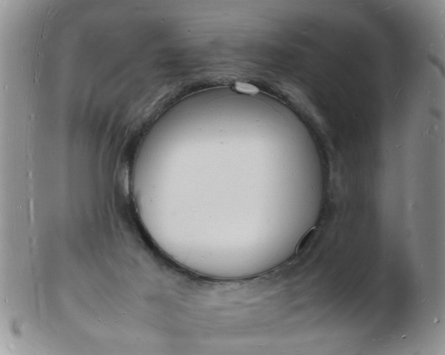 X0000103290021200809122018