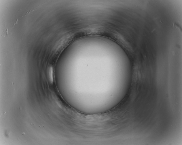 X0000103290022200809122017