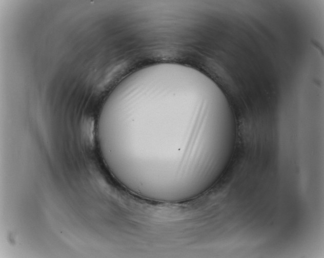 X0000103290024200809122017