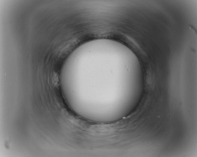 X0000103290025200809122017