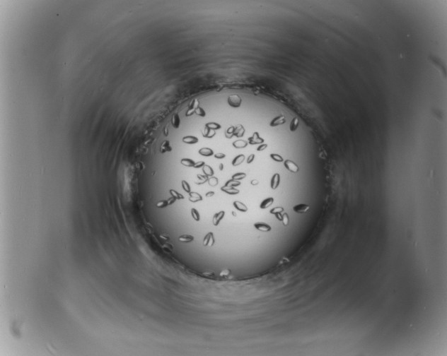 X0000103290026200809122017