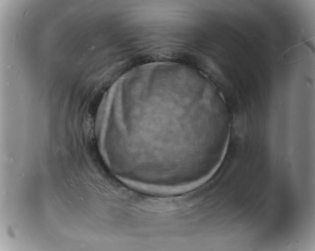 X0000103290029200809122017