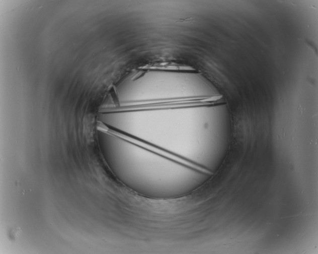 X0000103290030200809122017