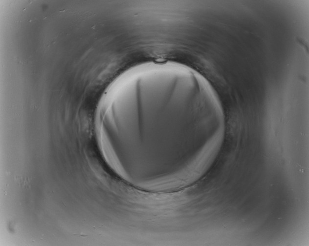 X0000103290031200809122017