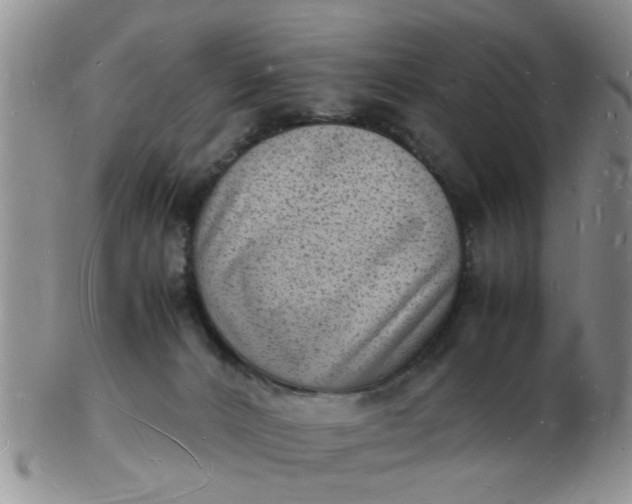 X0000103290032200809122017