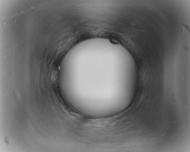 X0000103290033200809122017