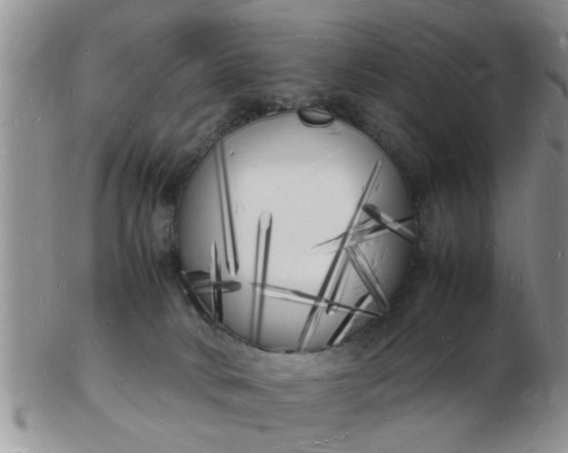 X0000103290034200809122017