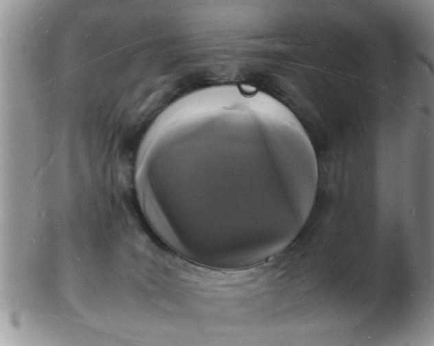 X0000103290035200809122017