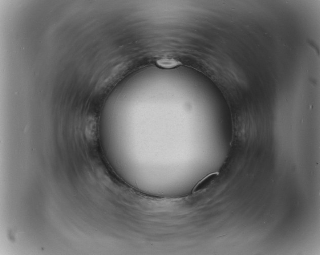 X0000103290036200809122017