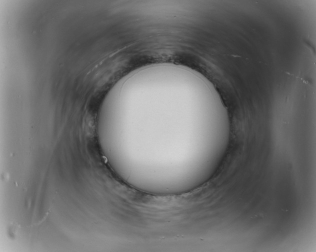 X0000103290037200809122017