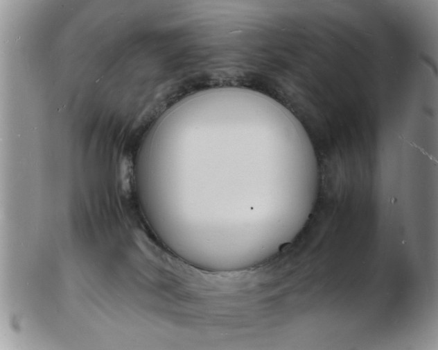 X0000103290038200809122017