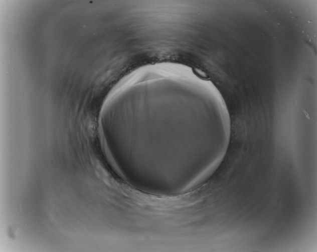 X0000103290039200809122017