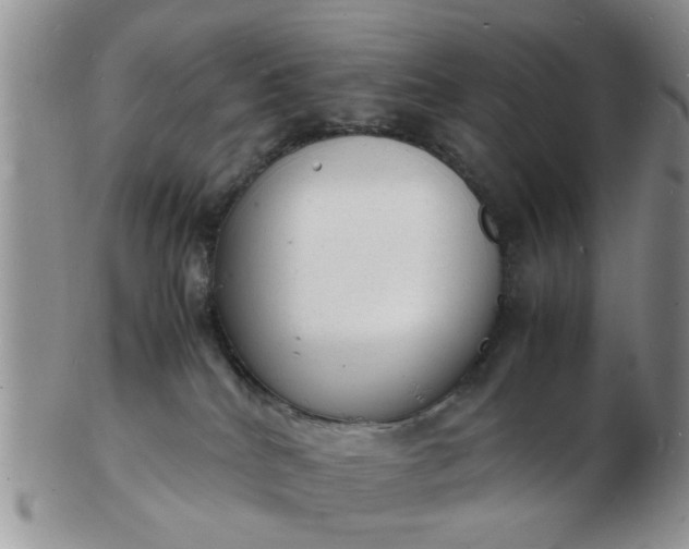 X0000103290040200809122017