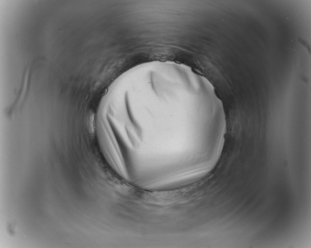 X0000103290041200809122017