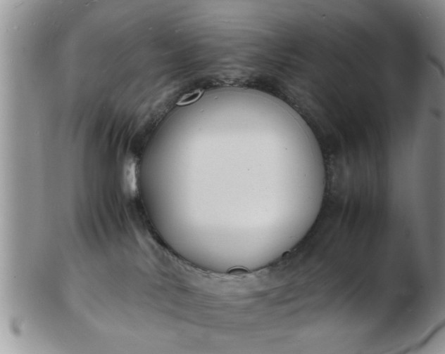 X0000103290042200809122017