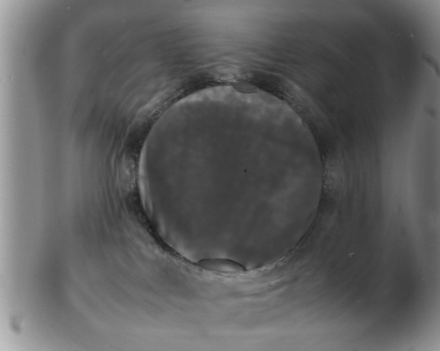 X0000103290043200809122017