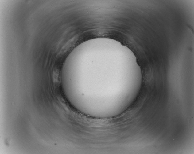 X0000103290044200809122017