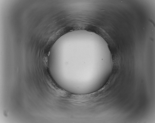 X0000103290045200809122017