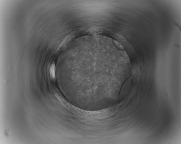 X0000103290046200809122017