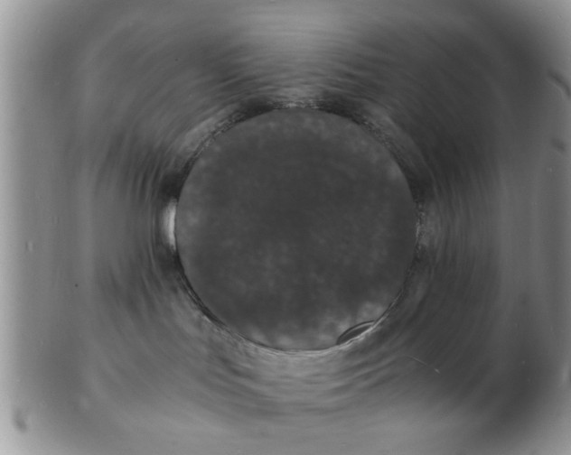 X0000103290047200809122017