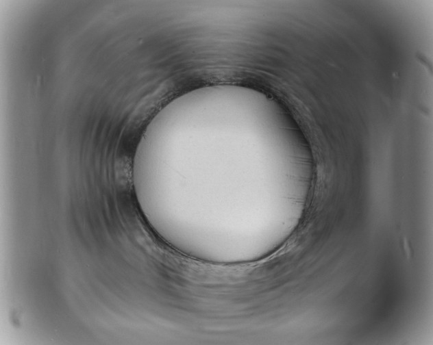 X0000103290048200809122017