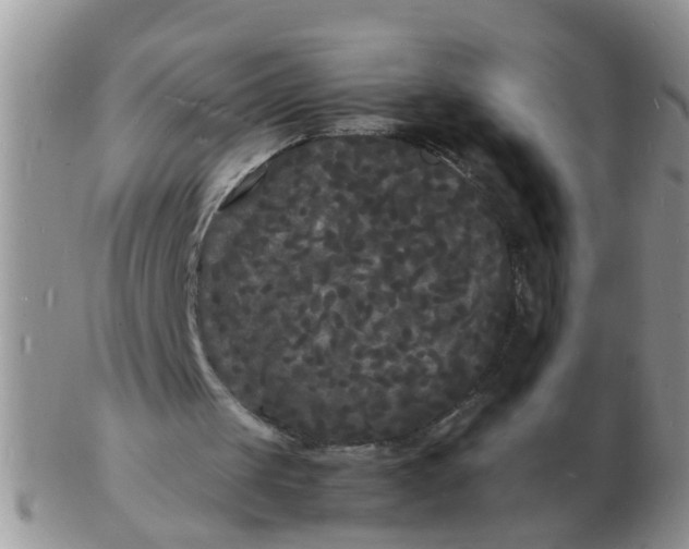 X0000103290049200809122016