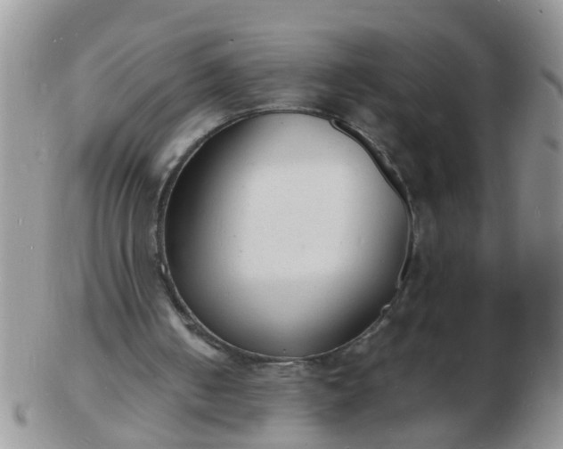 X0000103290050200809122016