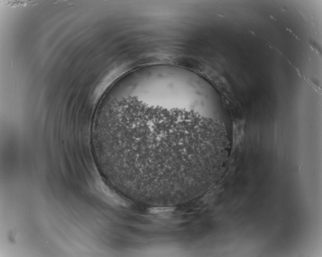 X0000103290051200809122016