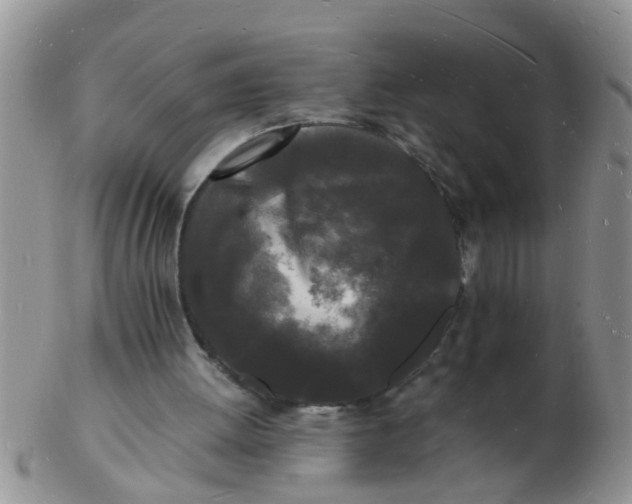 X0000103290052200809122017