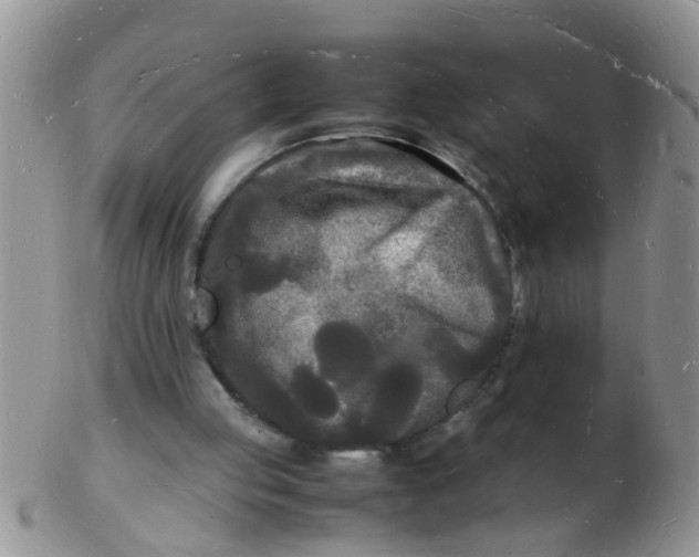 X0000103290053200809122017