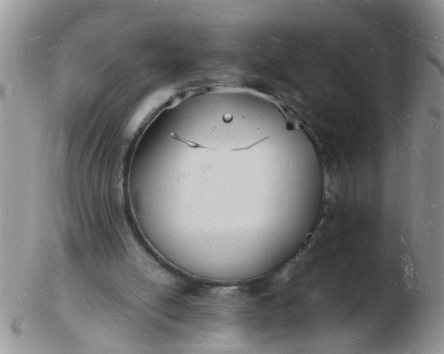 X0000103290054200809122017