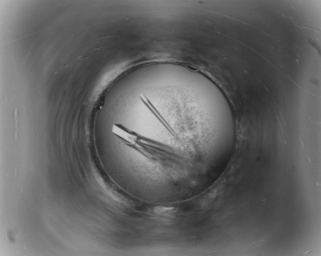 X0000103290055200809122017