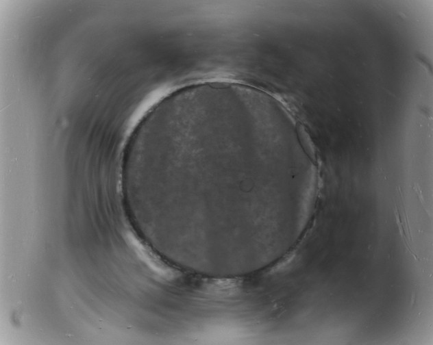 X0000103290056200809122017