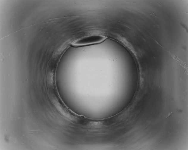 X0000103290057200809122017