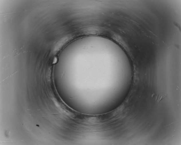 X0000103290058200809122017