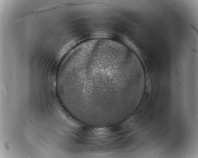 X0000103290059200809122017