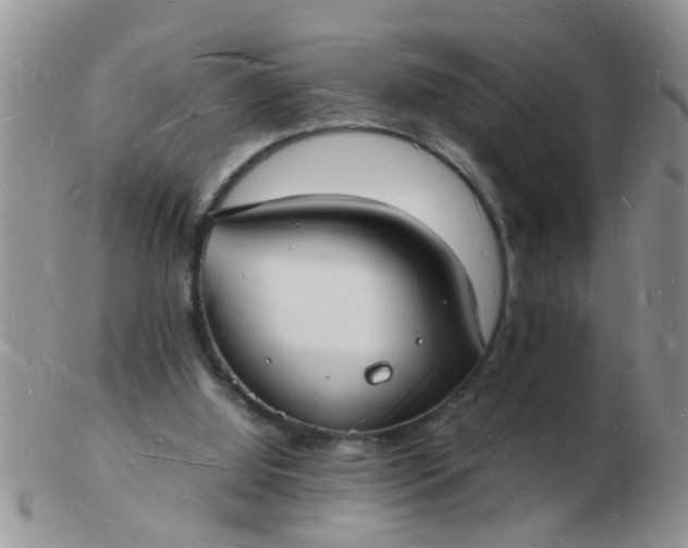 X0000103290060200809122017