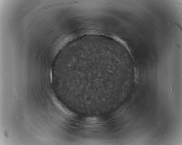 X0000103290061200809122017