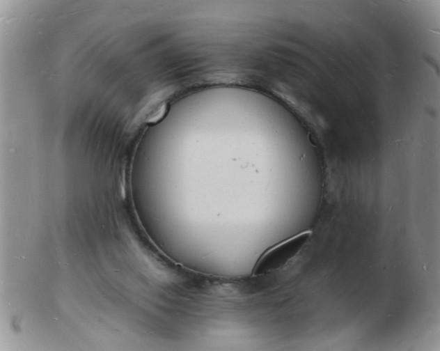 X0000103290062200809122017