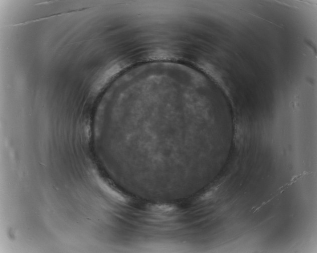 X0000103290063200809122017