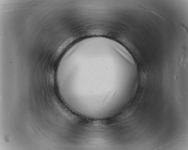 X0000103290064200809122017