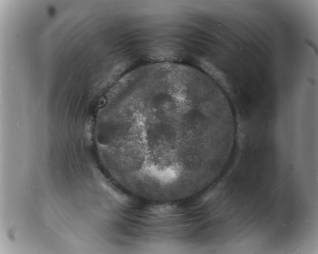 X0000103290065200809122017