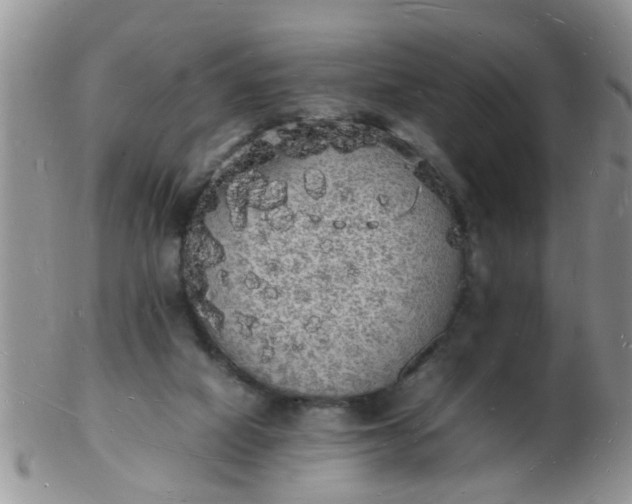 X0000103290066200809122017