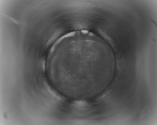 X0000103290067200809122017