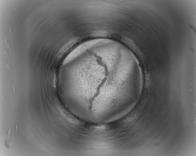 X0000103290068200809122017