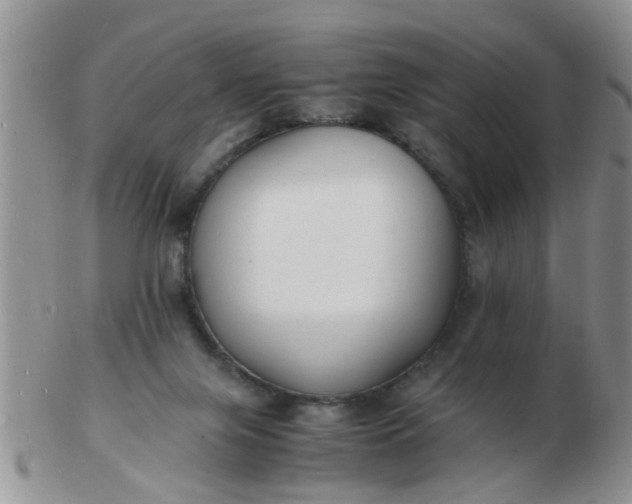 X0000103290071200809122017