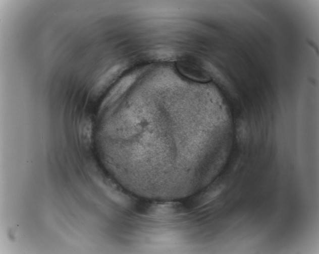 X0000103290072200809122017