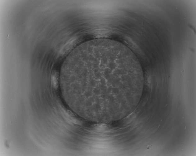 X0000103290074200809122017